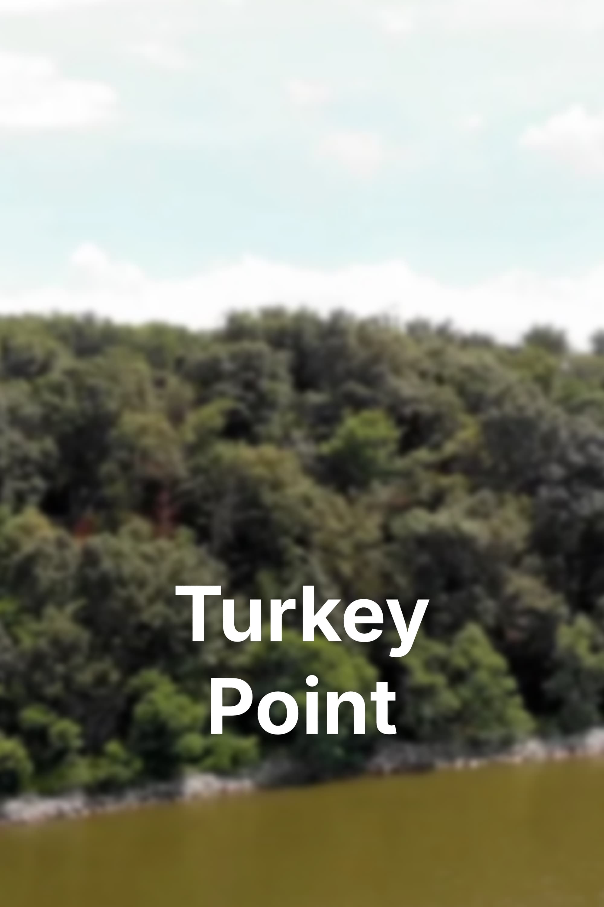 Poster for Turkey Point