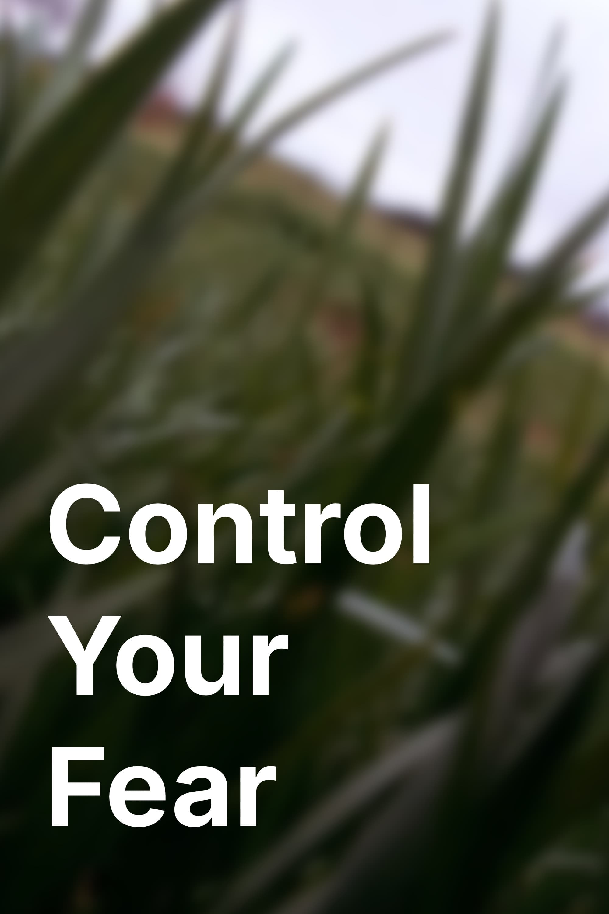 Poster for Control your Fear