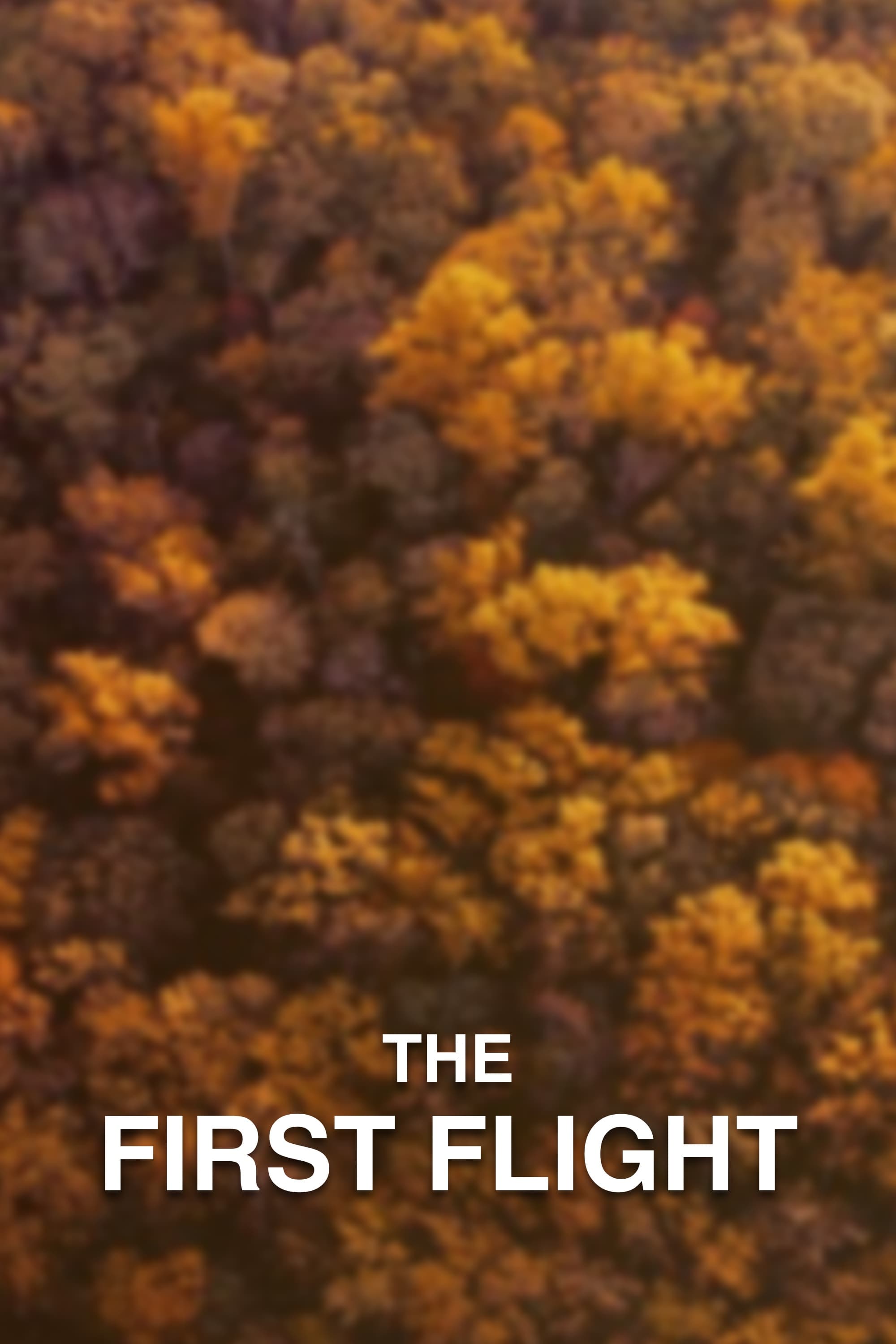 Poster for The First Flight